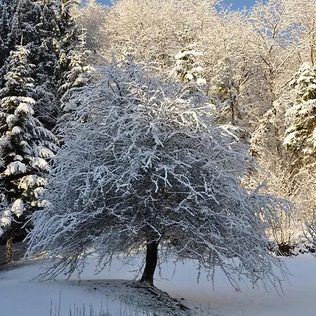 Mansarda In Montagna Апартаменты *
